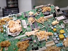 Boffins power motherboard with mushrooms