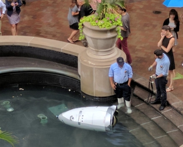 Security robot drowns itself