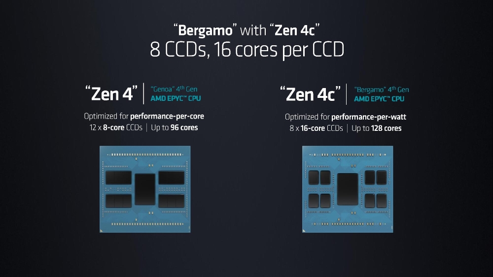amd bergamo 2