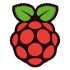 RaspberryPi Logo