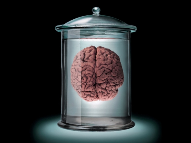 Intel to release neuromorphic computing system