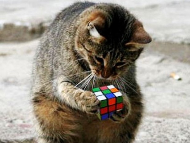 AI defeats Rubik&#039;s cube without human help