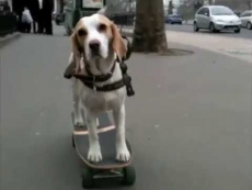 BeagleV board announced