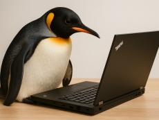 Lenovo slashes Windows tax with cheaper Linux laptops
